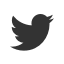 twitter icon